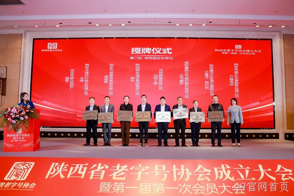 图片12
